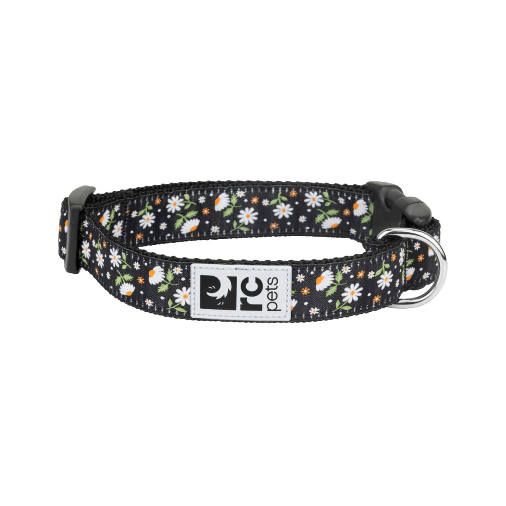 RC Pets 5/8" Dog Clip Collar Daisies, Extra Small image number null