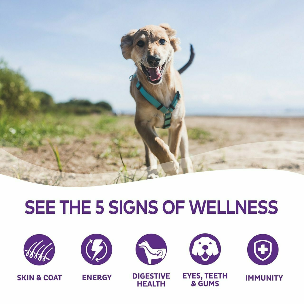 Wellness Complete Health Natural Wet Canned Dog Food, Duck & Sweet Potato, 12.5-oz Can image number null