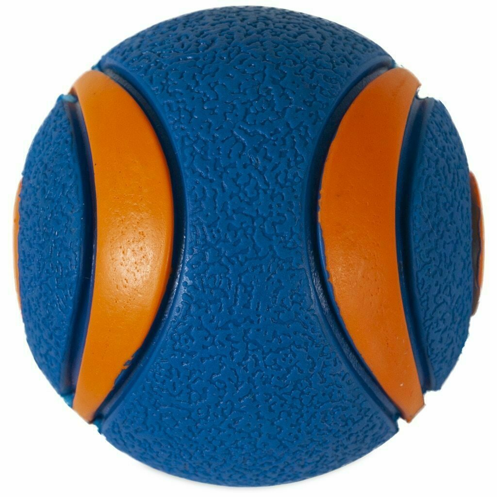 Chuckit! Medium Ultra Squeaker Ball Dog Toy, 1-count image number null