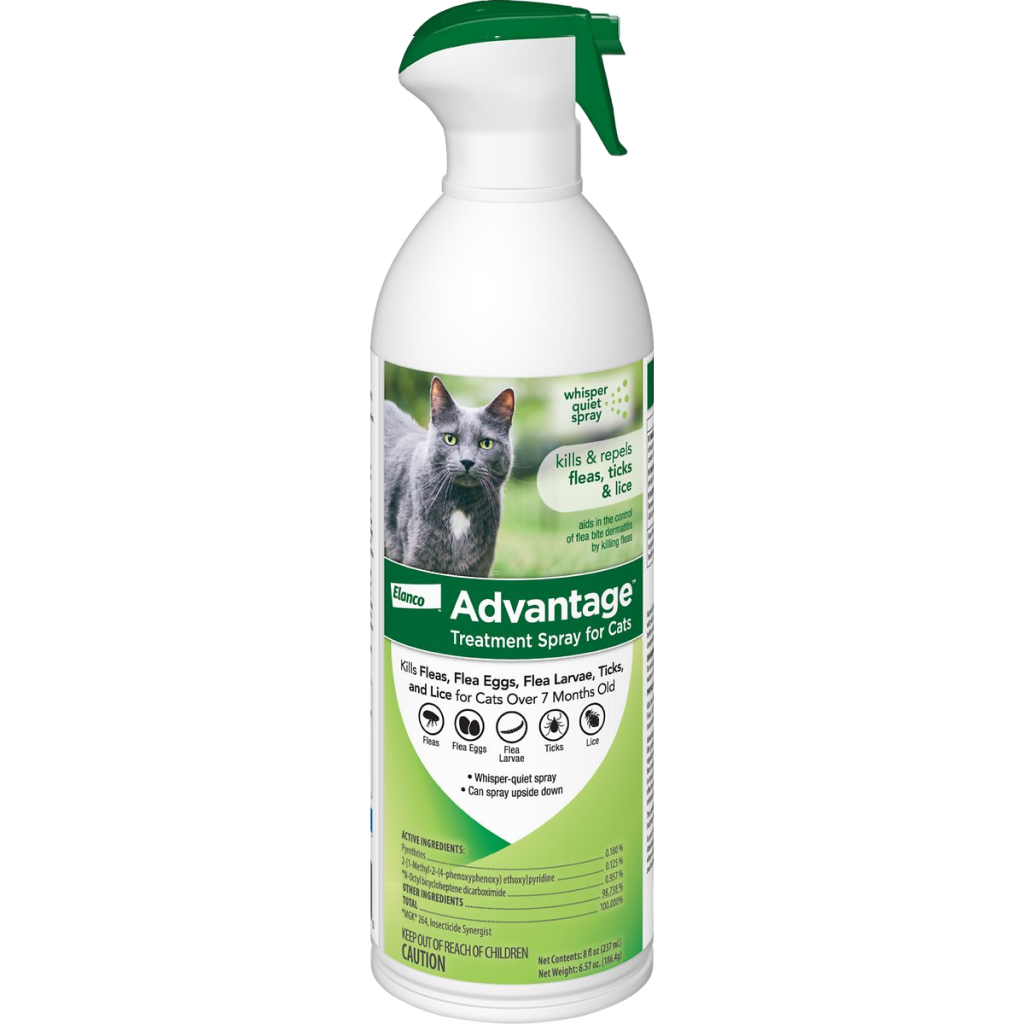 Cat flea prevention treatment shop