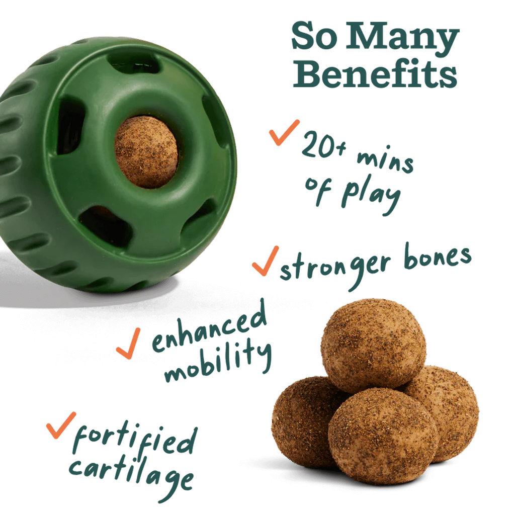 Woof Refillable Joint Health Wellness Pops for Dogs, 12-oz, Extra Large image number null