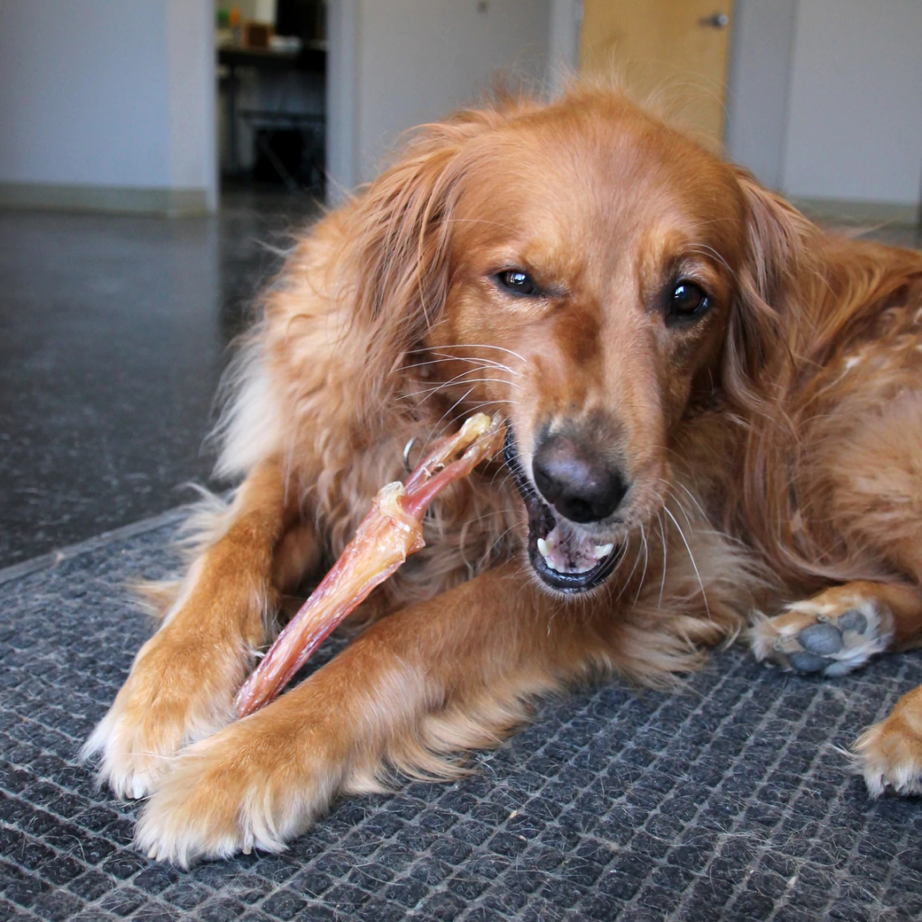 Tuesday's Natural Dog Co. Single Large Beef Tendon Dog Treat, 1-count image number null
