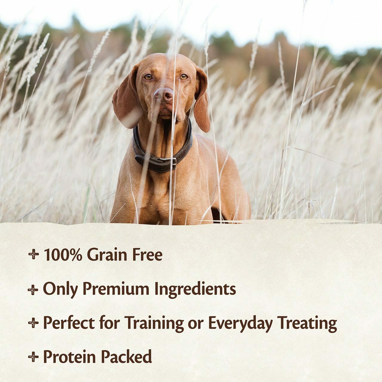 Wellness Core Pure Rewards Natural Grain Free Jerky Bites Dog Treats, Beef & Venison Recipe, 4-oz Bag image number null