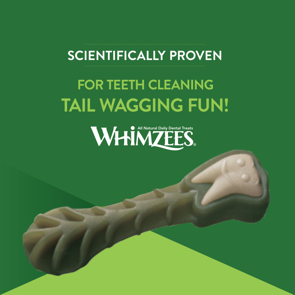 Whimzees Dog Alligator Natural Dental Chew, Medium image number null