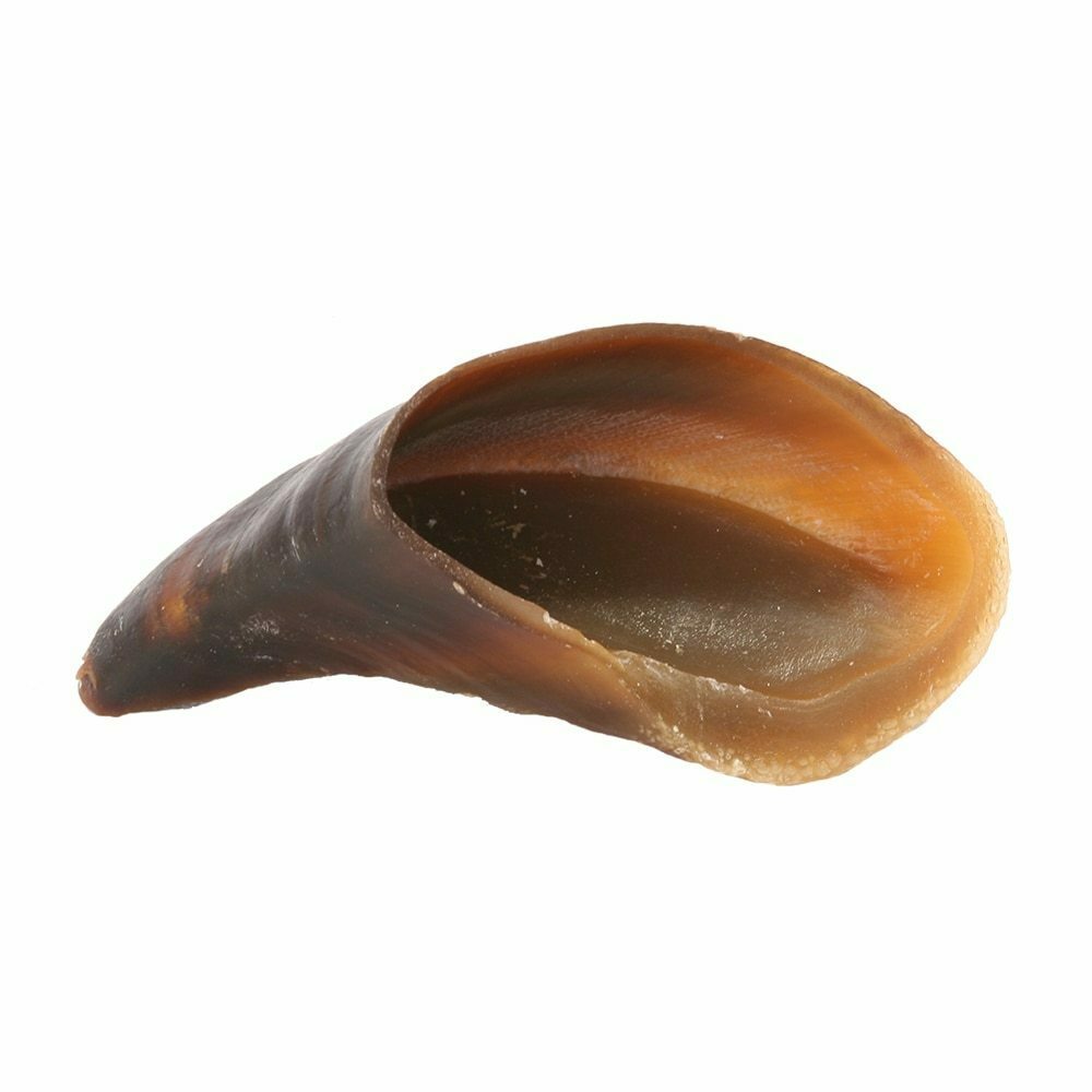 Hooves image number null