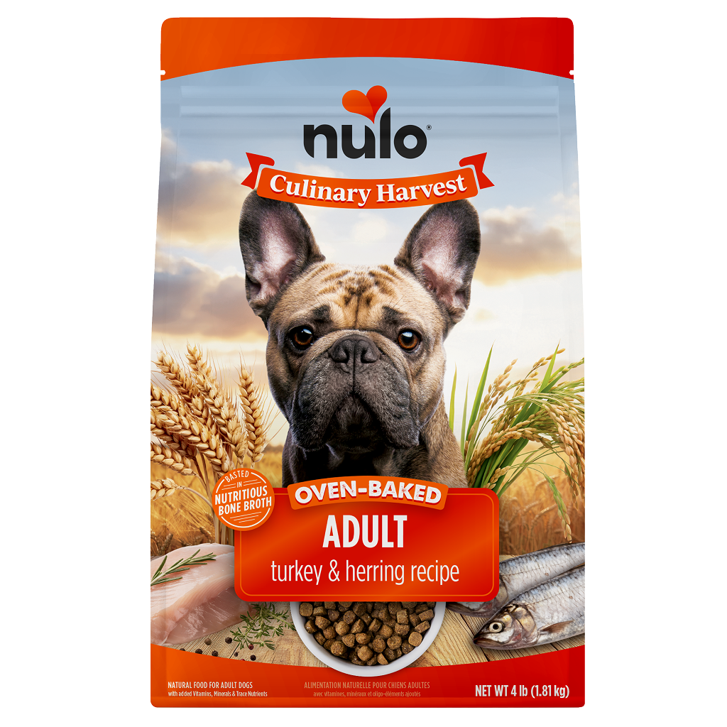 Nulo Dog Culinary Harvest Turkey & Herring Dry food, 4-lb image number null
