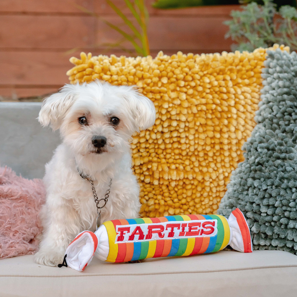Huxley & Kent Dog Power Plush FARTIES-LG image number null