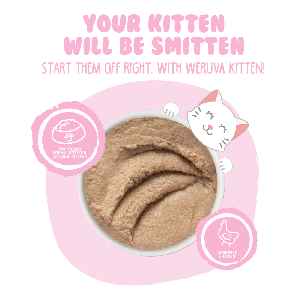 Weruva Kitten Paté Cat Can - Chicken Breast Formula in a Hydrating Purée, 3-oz image number null