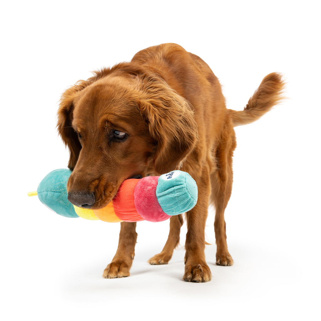 Huxley & Kent Dog Fetchies CATERPILLAR-LG image number null
