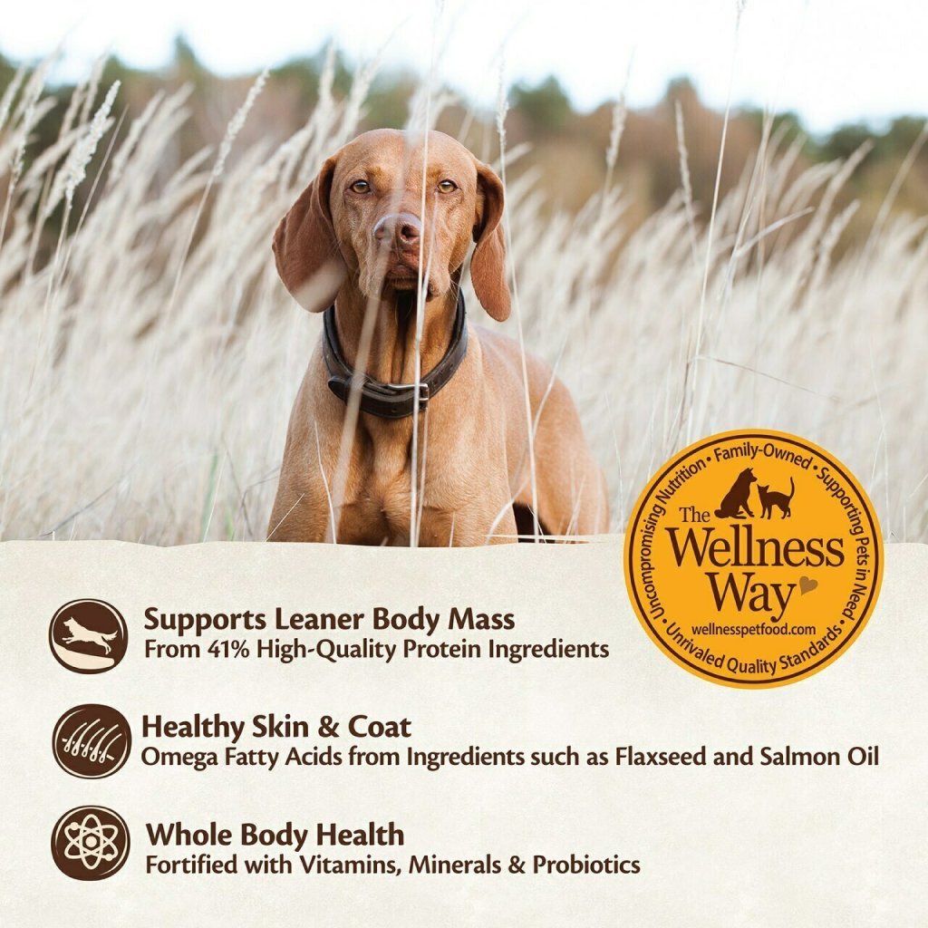 Wellness Core Natural Grain Free Dry Dog Food, Original Turkey & Chicken image number null