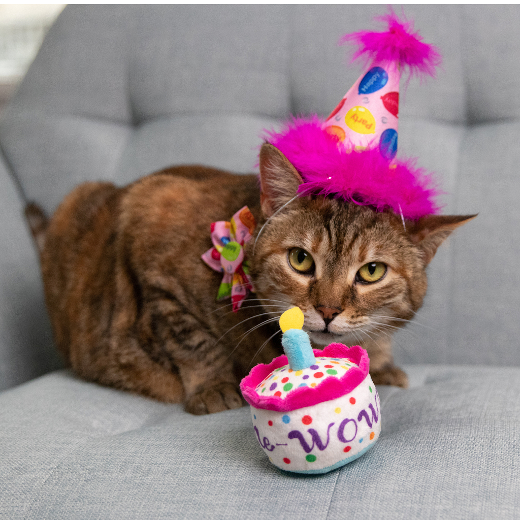 Huxley & Kent Cat MEWOW CAKE image number null