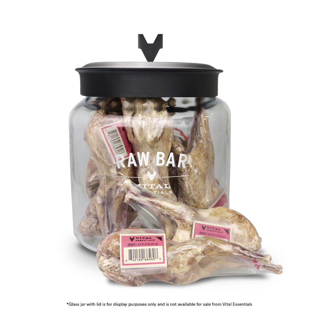 Freeze-Dried Quail image number null