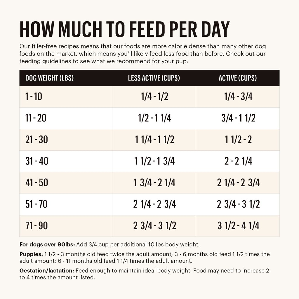 The Honest Kitchen Whole Grain Chicken & Oat Whole Food Clusters Dry Dog Food, 1-lb image number null