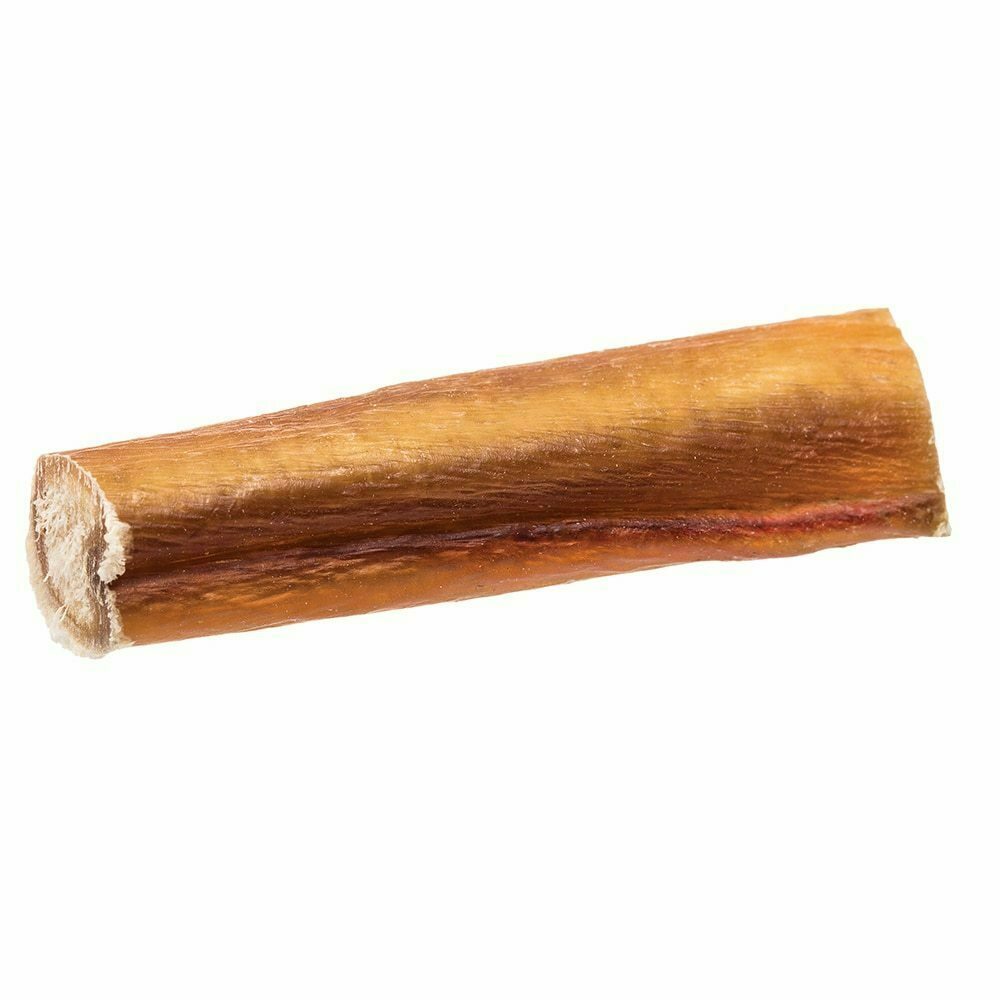 Bully Bites image number null