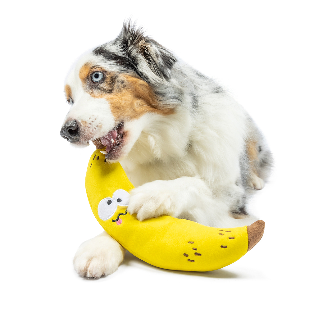 Huxley & Kent Dog Fetchies BRUISER BANANA-SM image number null