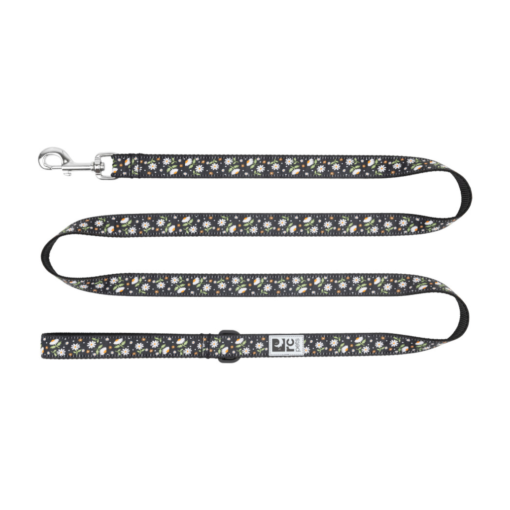 RC Pets 3/4"x6' Dog Leash Daisies image number null