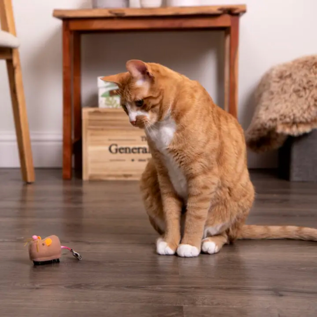 Instincts by SmartyKat Meandering Mouse Electronic Motion Cat Toy, 1-count image number null