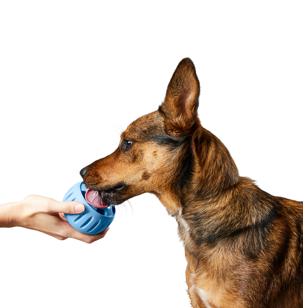 Woof Blue Pupsicle Long-Lasting Interactive Toy for Dogs, Extra Large image number null