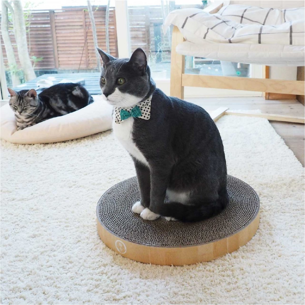 Cozy Cat Scratcher Bowl Replacement Pad (2 Pack) image number null