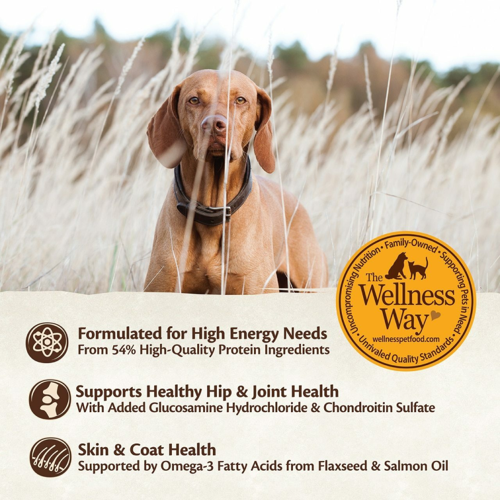 Wellness Core Natural Grain Free Dry Dog Food,  Breed image number null