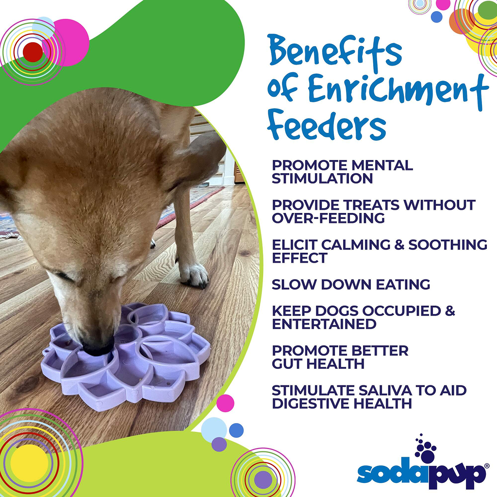 Soda Pup Mandala Softie Enrichment Slow Feeder with Suction Cups, Green image number null