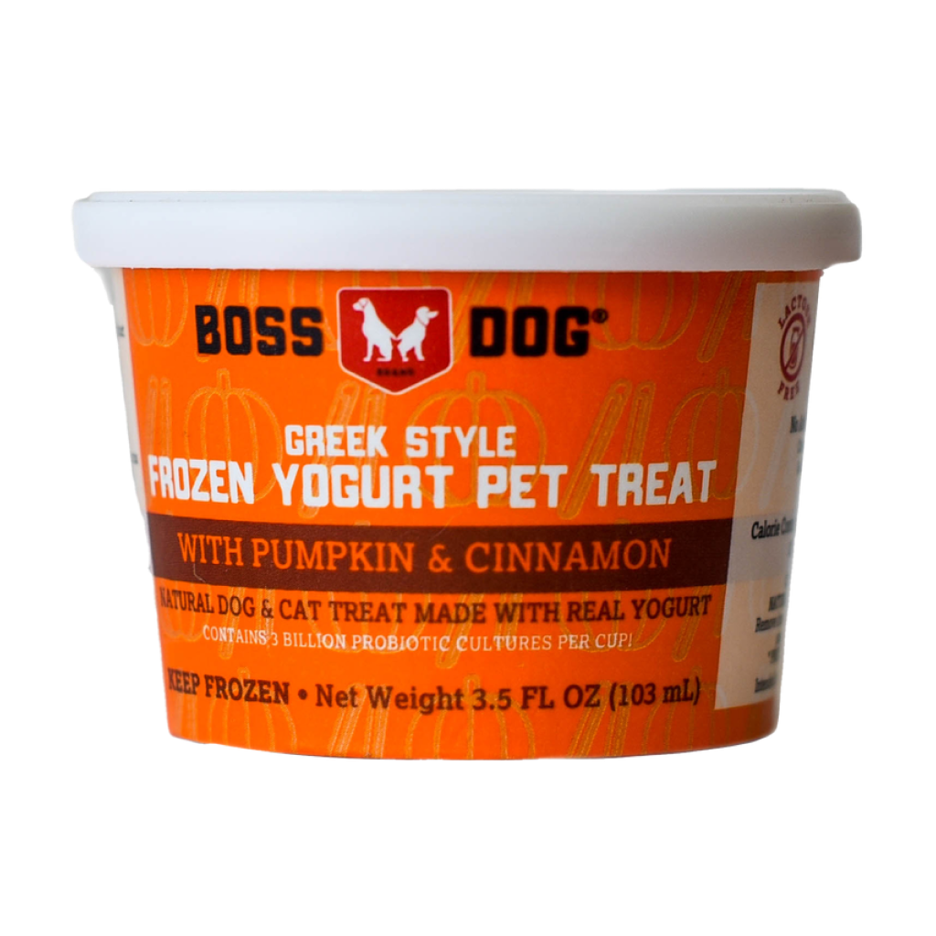 Greek Style Frozen Yogurt Treat Pumpkin & Cinnamon, 4 Pack image number null
