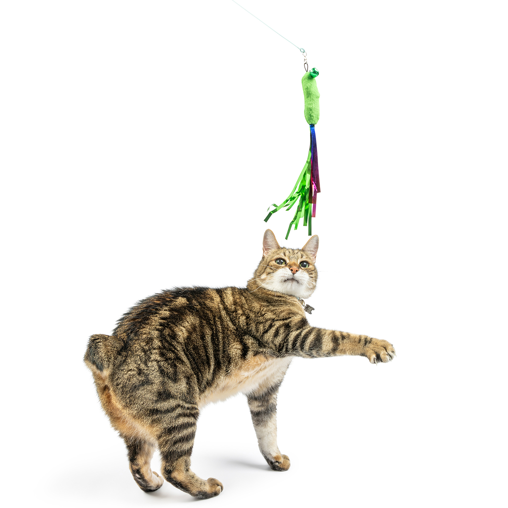 Huxley & Kent Cat Wand Refill 3PK SNACKY TEASERS image number null