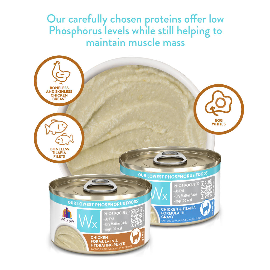 Weruva Wx Phos Focused Paté Cat Can - Chicken Formula in a Hydrating Purée, 3-oz image number null