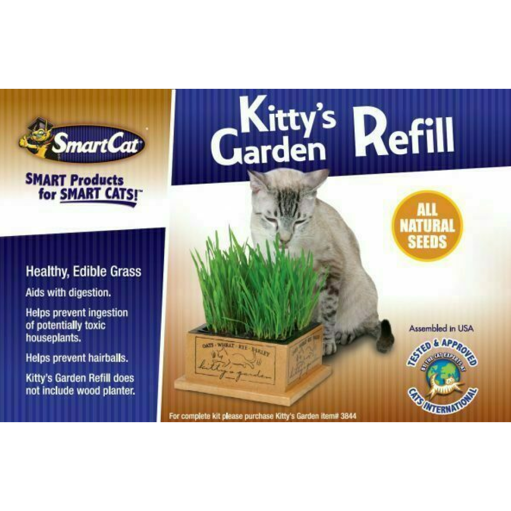 Kitty's Garden Organic Cat Grass Refill image number null