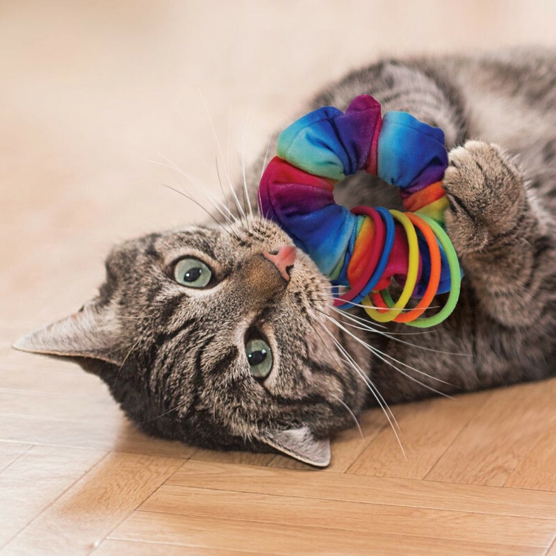 Cat Active Scrunchie image number null