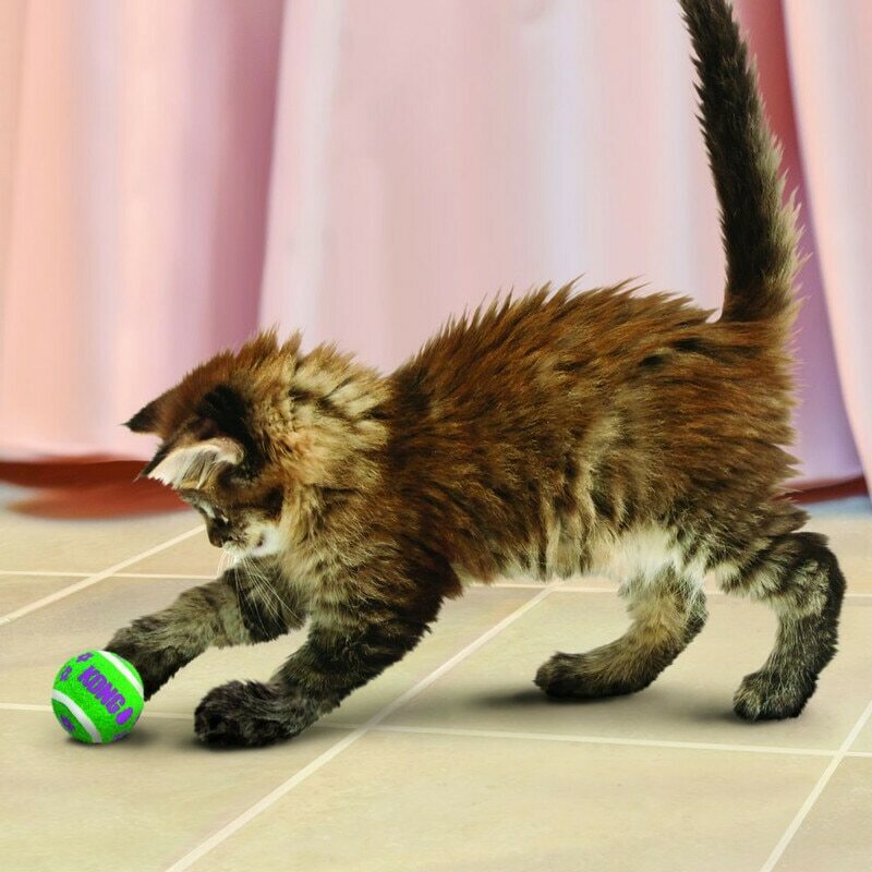 Cat Active Tennis Balls W/Bells image number null