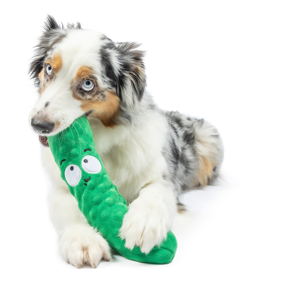 Huxley & Kent Dog Fetchies DELL PICKLE-SM image number null