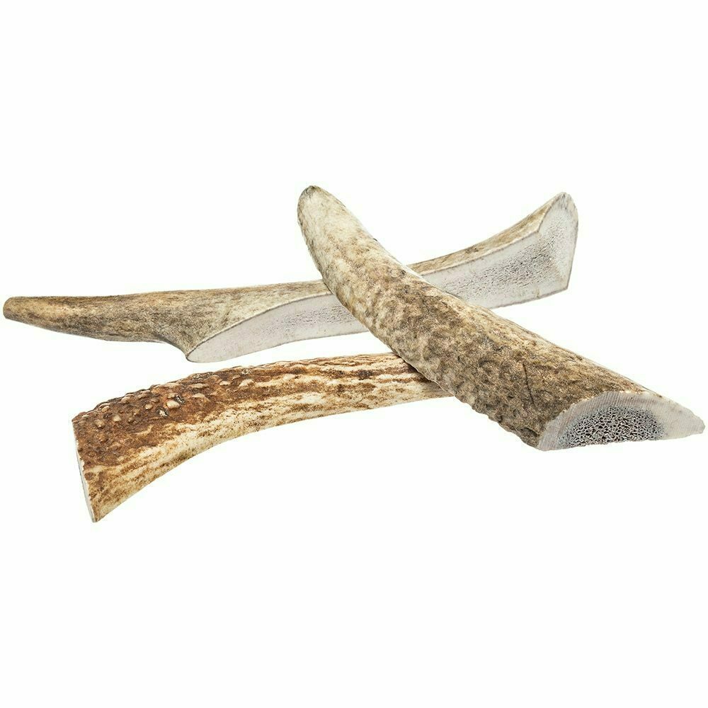 Half Elk Antler image number null