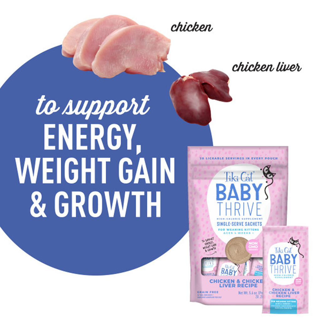 Tiki Cat Baby Thrive Wet Cat Food Chicken & Chicken Liver Pouch, 5.6-oz image number null
