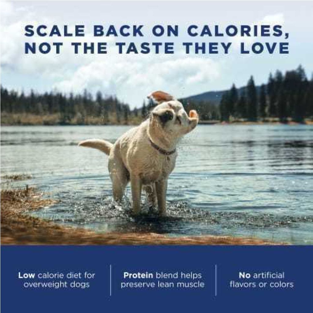 Fat Dogs Dry Dog Food, 28-lb image number null