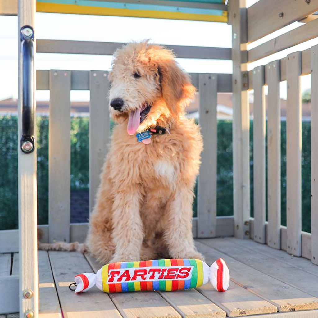 Huxley & Kent Dog Power Plush FARTIES-LG image number null
