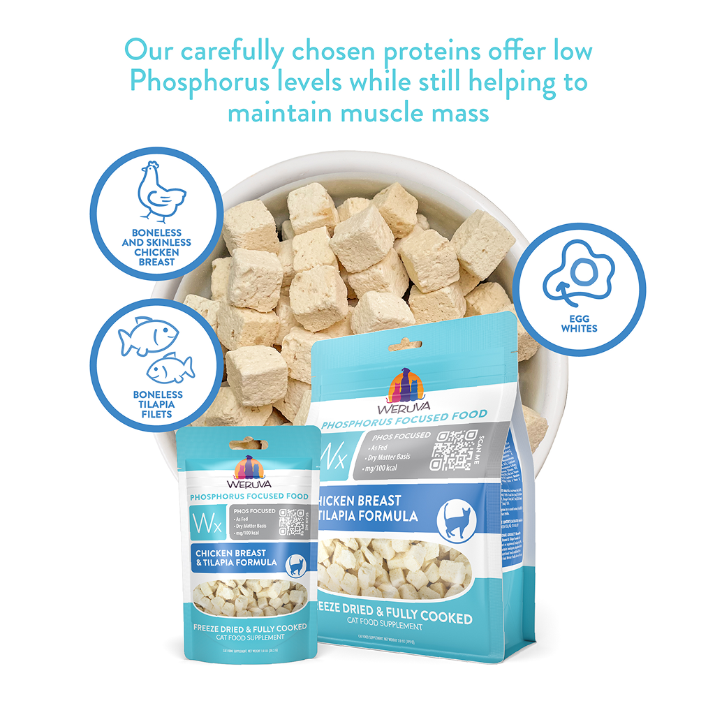 Weruva Wx Phos Focused Freeze Dried Chicken Breast & Tilapia Formula, 1-oz image number null