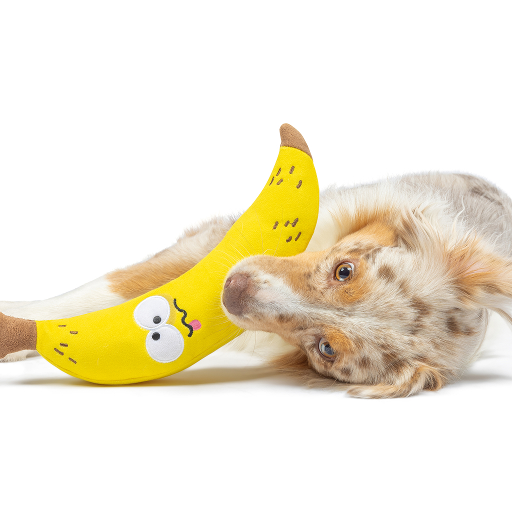 Huxley & Kent Dog Fetchies BRUISER BANANA-SM image number null