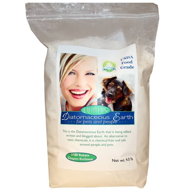 can i put diatomaceous earth in my dogs food