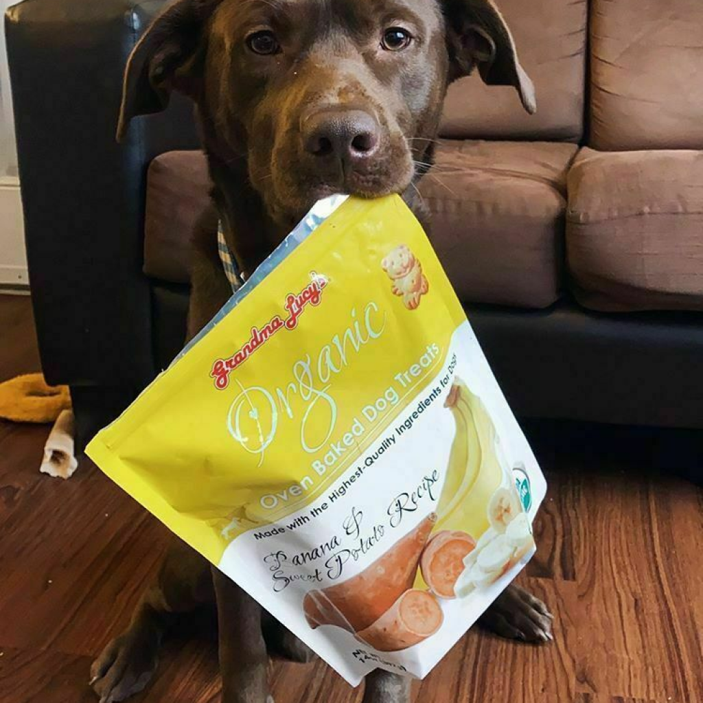 Organic Baked Dog Treats - Banana & Sweet Potato - 14-oz image number null