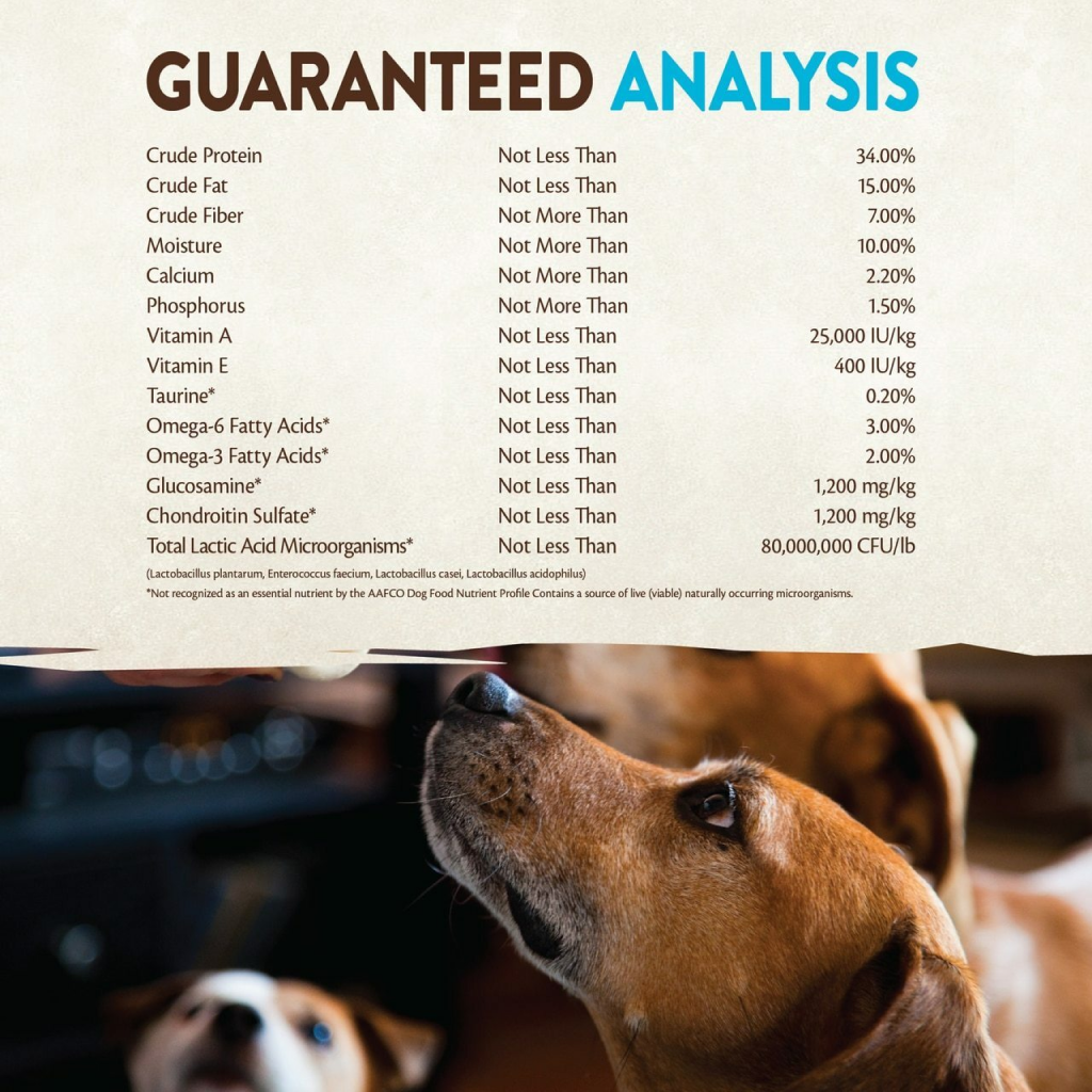 Wellness Core Natural Grain Free Dry Dog Food, Ocean Whitefish, Herring & Salmon image number null