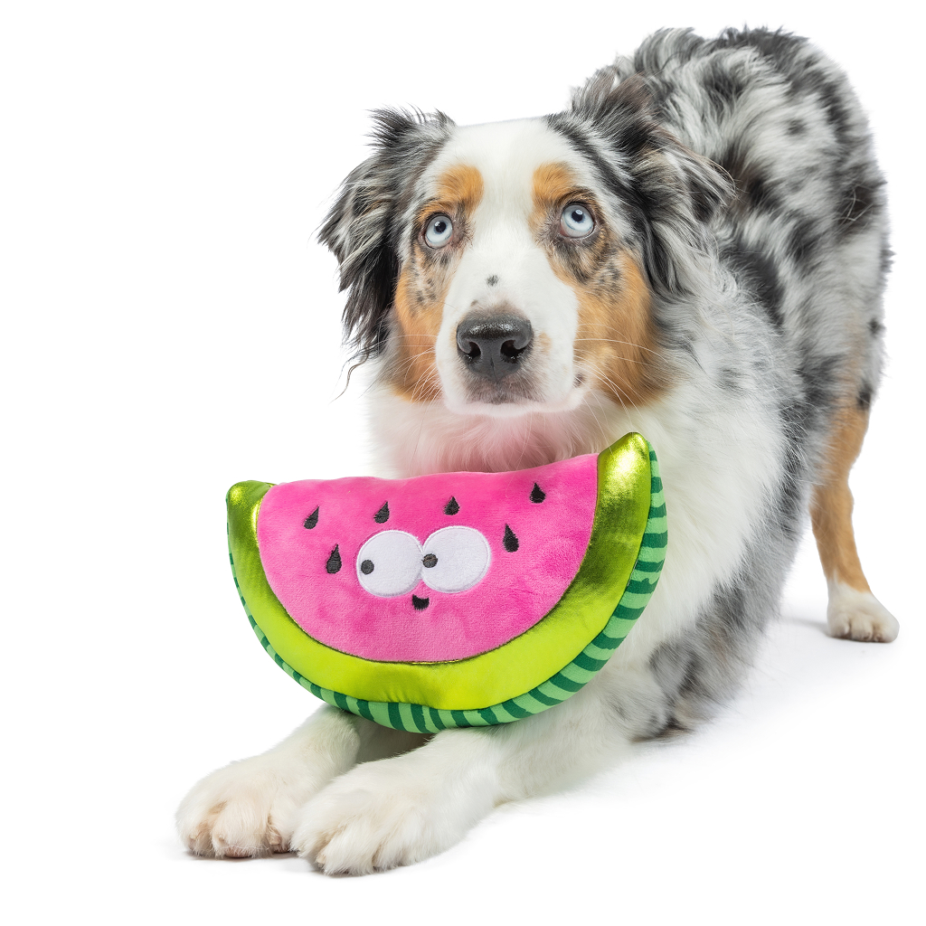 Huxley & Kent Dog Fetchies WALTER MELON-LG image number null