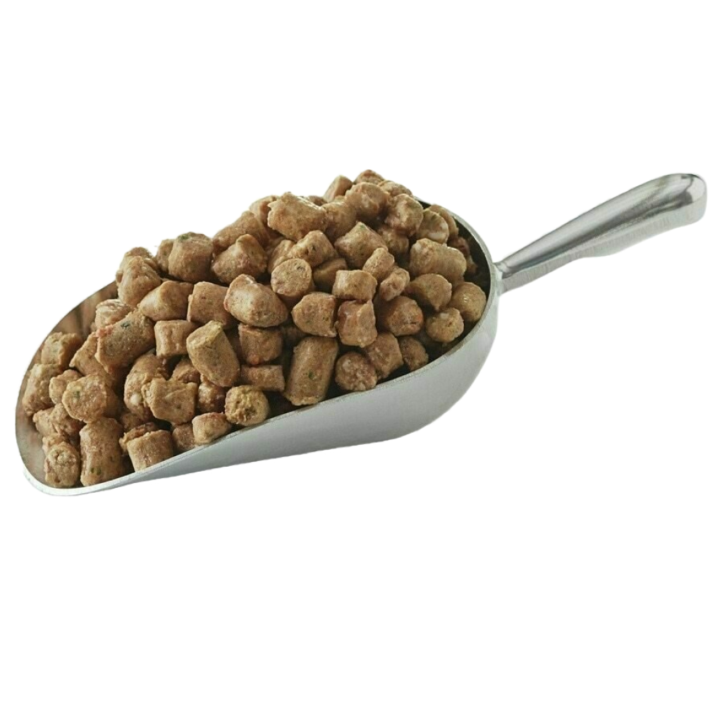 Frozen Canine Duck Pronto Formula 4-lb image number null