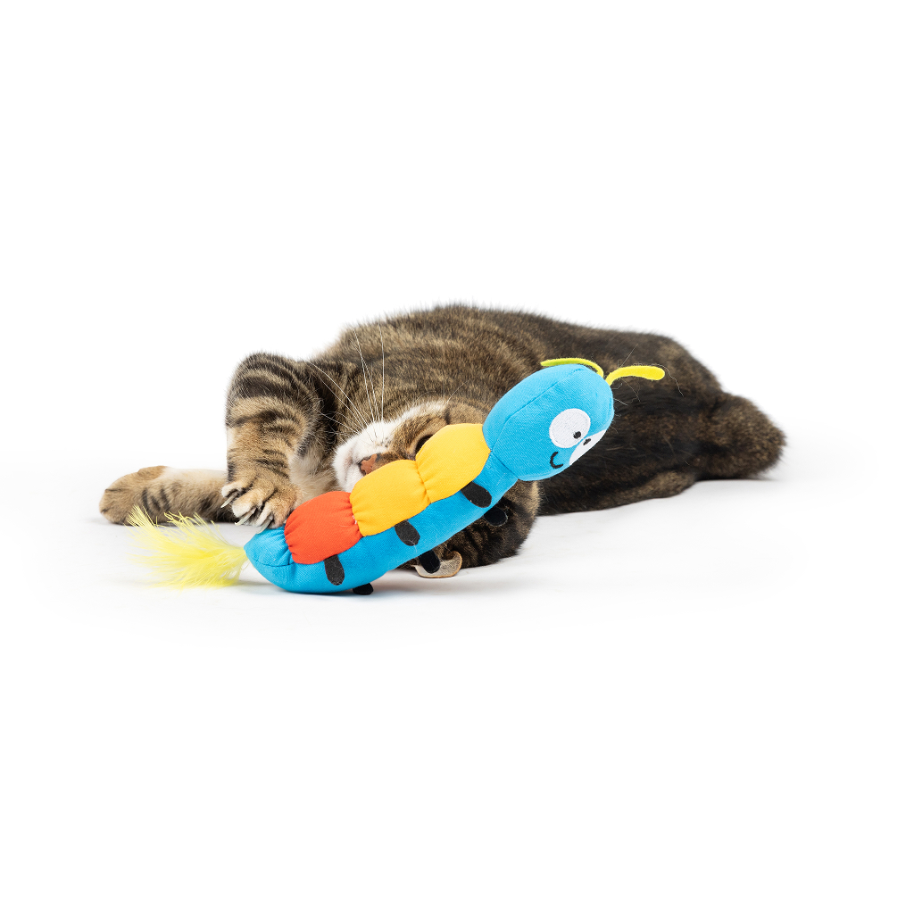Huxley & Kent Cat Kicker CATERPILLAR image number null
