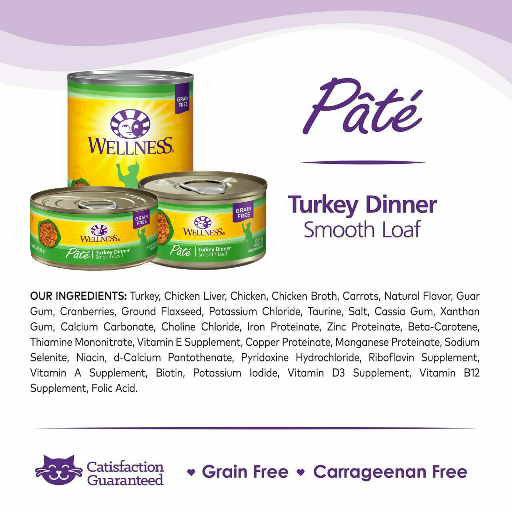 Wellness Complete Health Natural Grain Free Wet Canned Cat Food, Turkey image number null