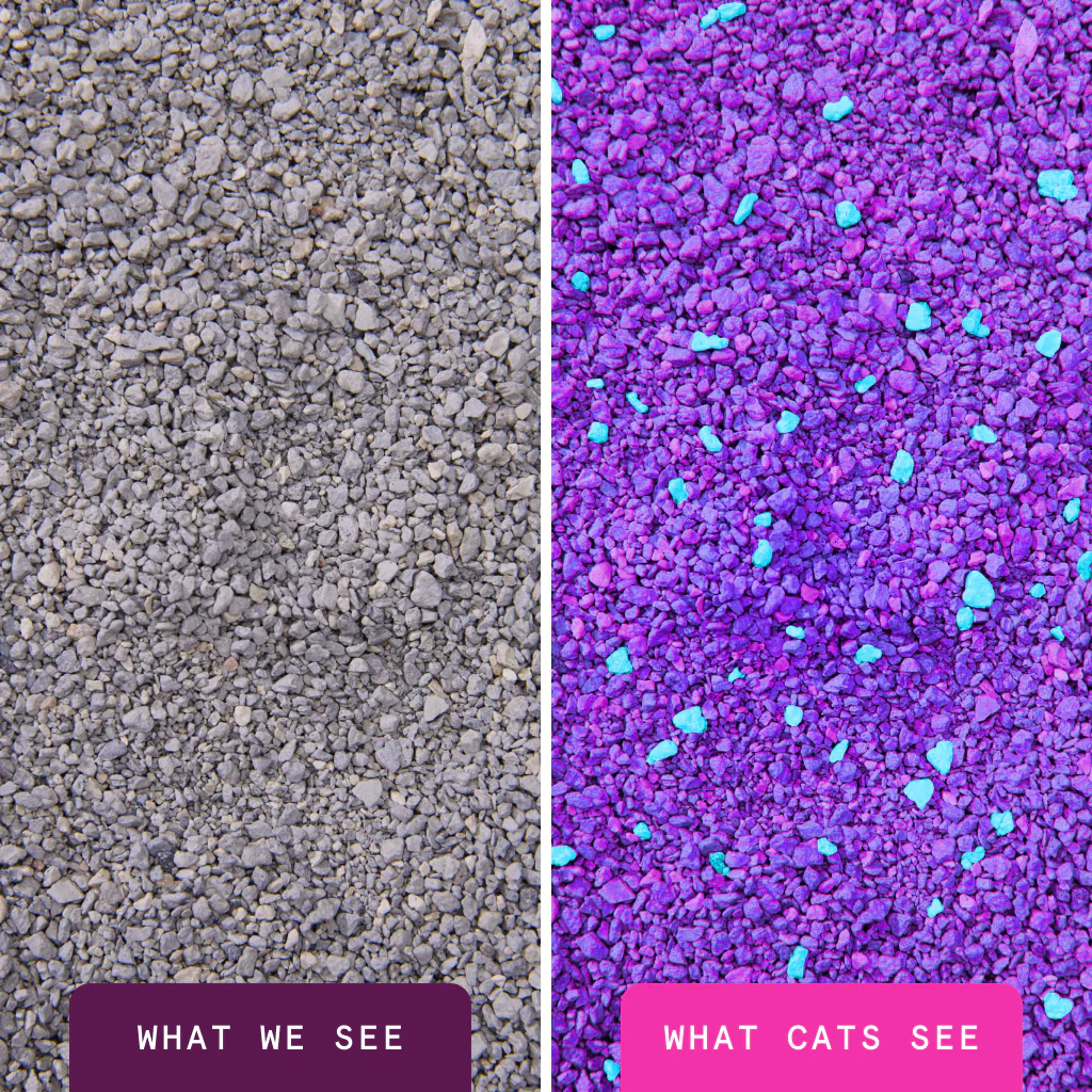 Boxie Glo Natural Attractions 30 Day Odor Control Clumping Clay Cat Litter, 16-lb image number null