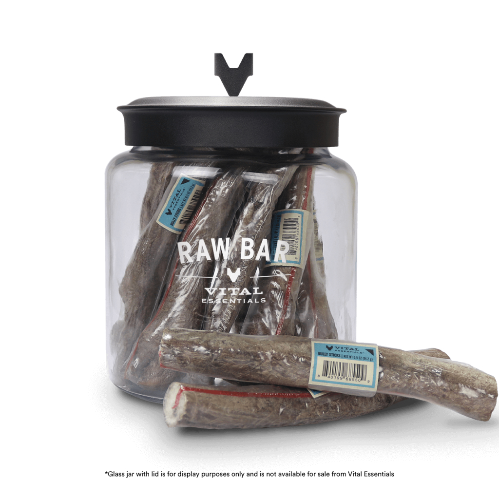 Freeze-Dried Bully Stick image number null