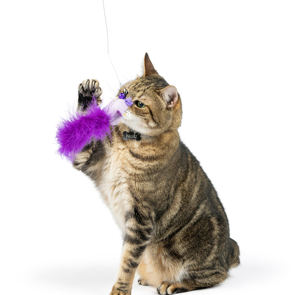 Huxley & Kent Cat Wand Refill 2PK PURPLE BIRDY FEATHER TEASERS image number null