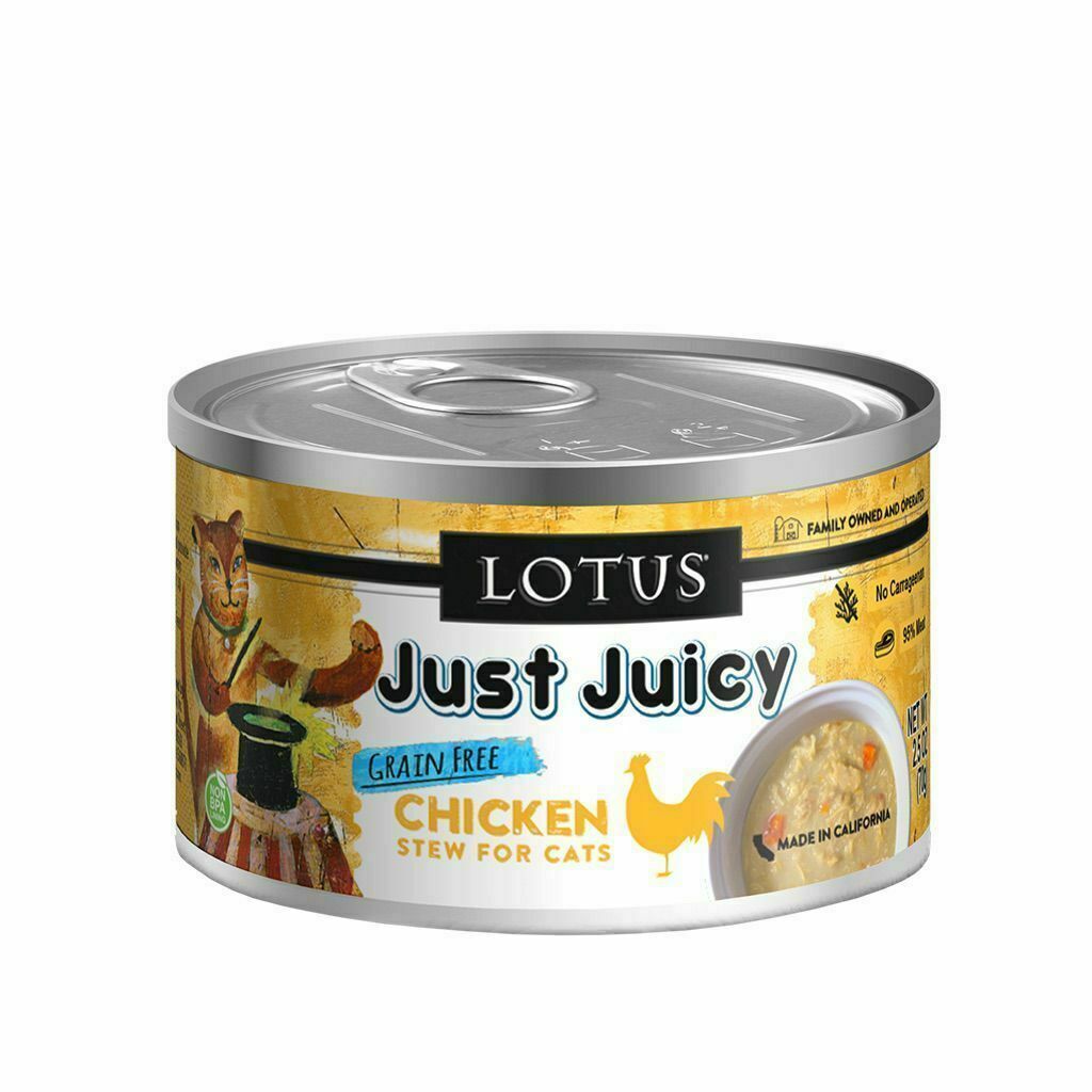 Just Juicy Chicken Stew image number null