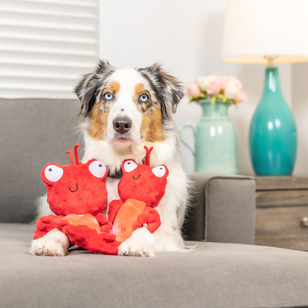 Huxley & Kent Dog Slappies CLAUDE LOBSTER-SM image number null